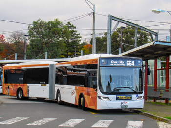 Ventura Lilydale 1427 Scania K360UA Volgren Optimus.png 