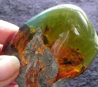 Dominican Green Amber, natural without enhancement Verde dominicana1.jpg