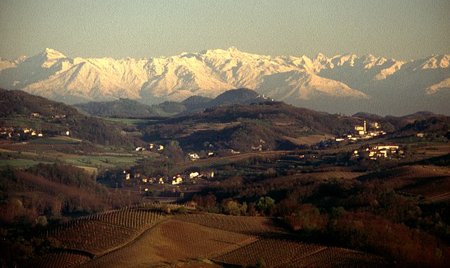 A Montferrat landscape, with the distant Alps in the background