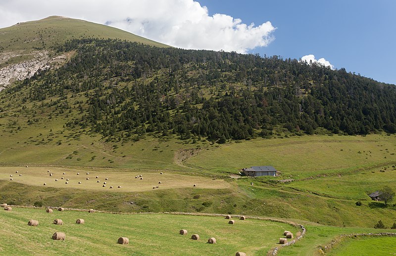 File:Vista dunha granxa baixando desde Coll de Ordino a Canillo. Andorra 310.jpg