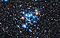 Wallpaper of the star cluster NGC 3766.jpg