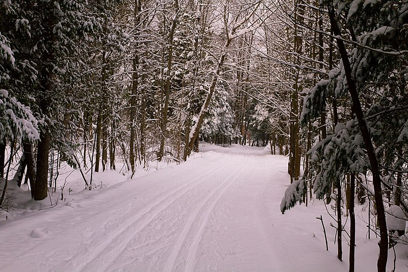 File:Wasaga Nordic (11787891244).jpg