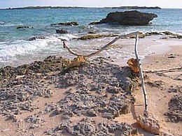 Punta-occidental-anguillita.jpg