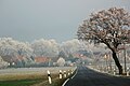 Dezember 2022 Winterlandschaft in Klein Mehßow