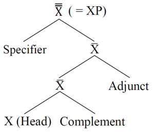 X-bar theory - Wikipedia