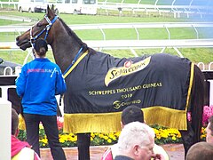 Yosei at Caulfield.jpg