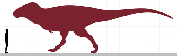 Size comparison of Zhuchengtyrannus