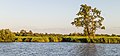 * Nomination View from the water on the Alde Feanen of It Fryske Gea. Valuable nature in profince Friesland in the Netherlands. Famberhorst 15:03, 17 August 2015 (UTC) * Promotion Good quality. --Hubertl 15:12, 17 August 2015 (UTC)