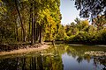 * Nomination: Pond in Tashkent botanical garden. Yunusabad District, Tashkent, Uzbekistan. By User:Arina Pan --Красный 06:18, 31 May 2024 (UTC) * * Review needed