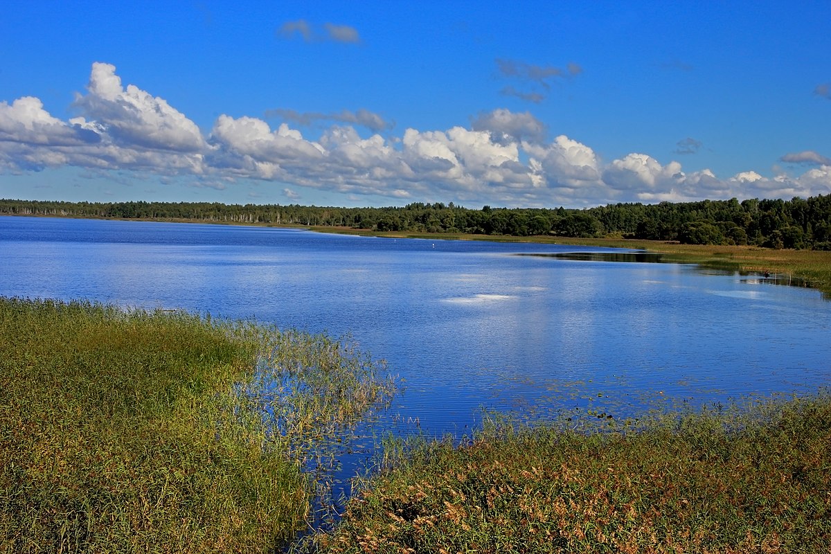 Кыпа река. Eduard järv.