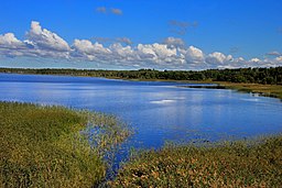 Õisu järv.