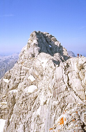 Watzmann: Lage und Morphologie, Geologie, Flora und Fauna