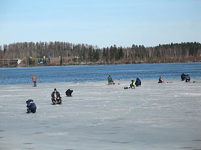 Вуокса в Иматре, весенняя рыбалка перед плотиной