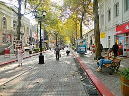 Pješačka zona u centru grada