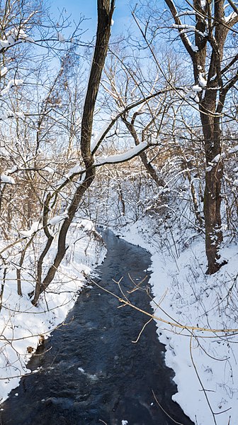 File:София през зимата (Sofia in winter) - panoramio.jpg