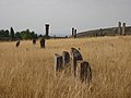 Միջնադարյան գերեզմանոց, Իշխանավանք