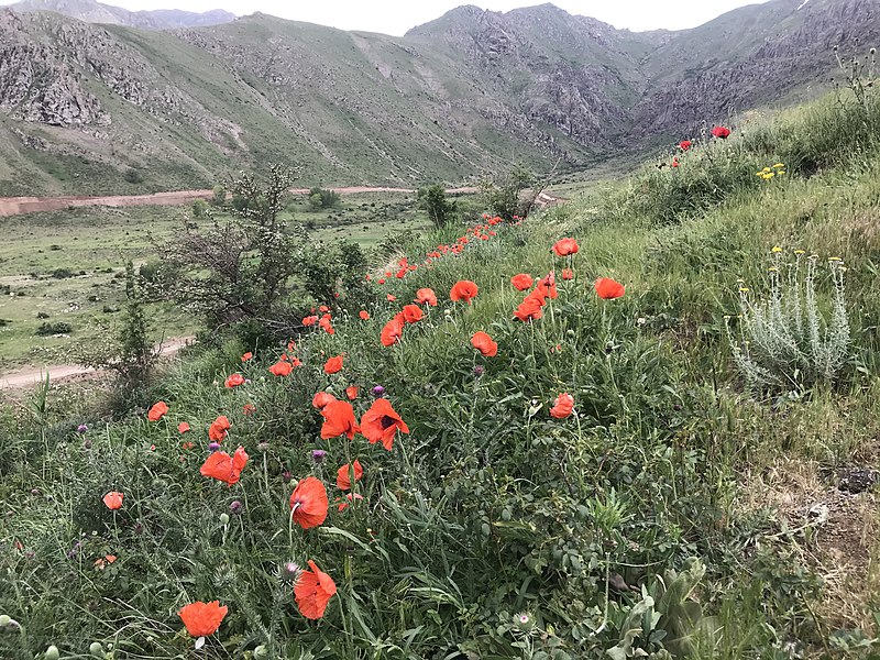 File:طبیعت روستای چیزه.jpg