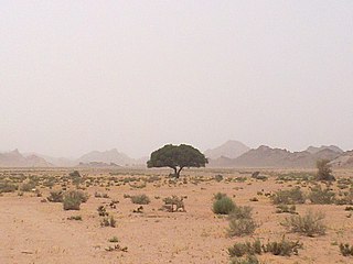 Hail Region Administrative region of Saudi Arabia