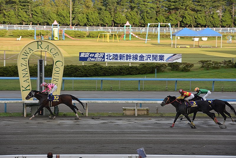 File:第37回白山大賞典で優勝馬インカンテーションがゴールした瞬間（2017年10月3日）.jpg