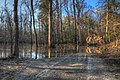 06-16-063, pantano de bonos - panoramio.jpg