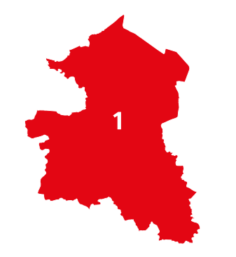 File:2011 Singburi FPTP.svg