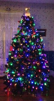 Thumbnail for File:2013 Christmas Tree.jpg