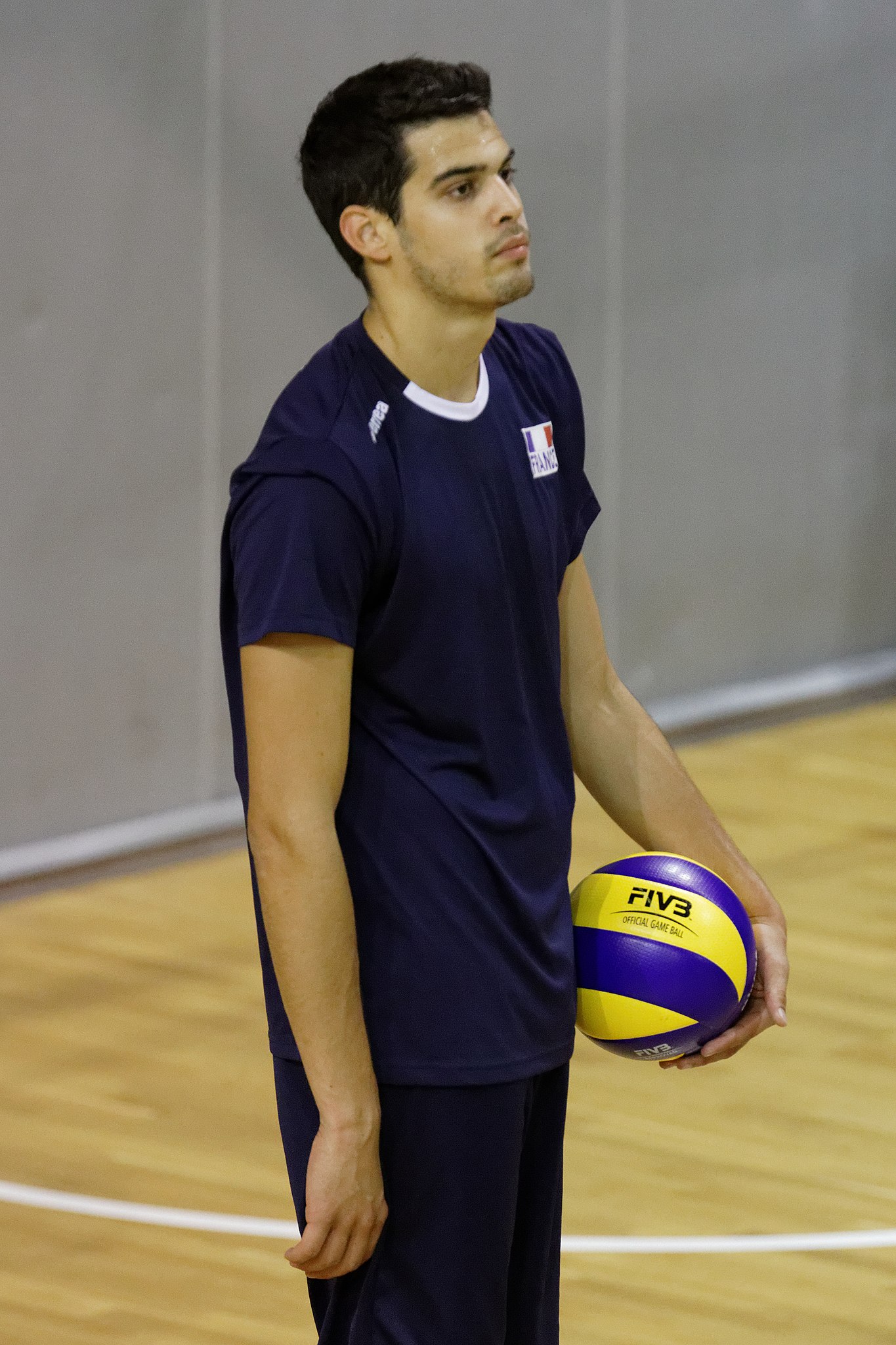 2014 FIVB Volleyball Men's World Championship - Wikipedia