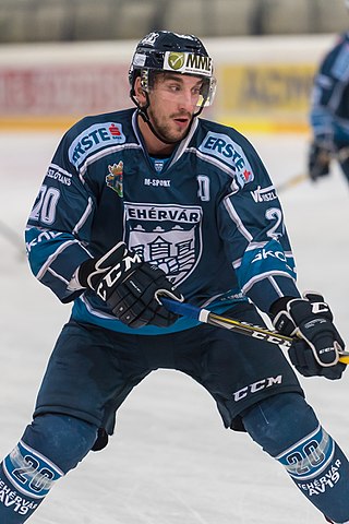 <span class="mw-page-title-main">István Sofron</span> Hungarian ice hockey player