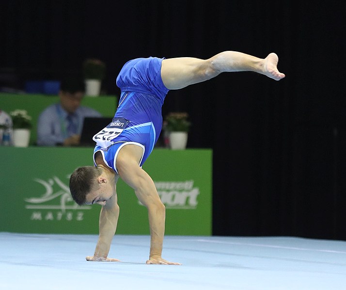 File:2019-06-27 1st FIG Artistic Gymnastics JWCH Men's All-around competition Subdivision 1 Floor exercise (Martin Rulsch) 138.jpg