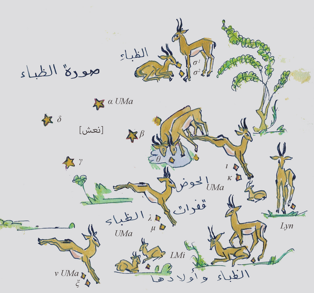 File:AL ZHIBA URSA MAJOR AL SUFI RL.png