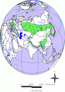 Areál jedle v Eurasii