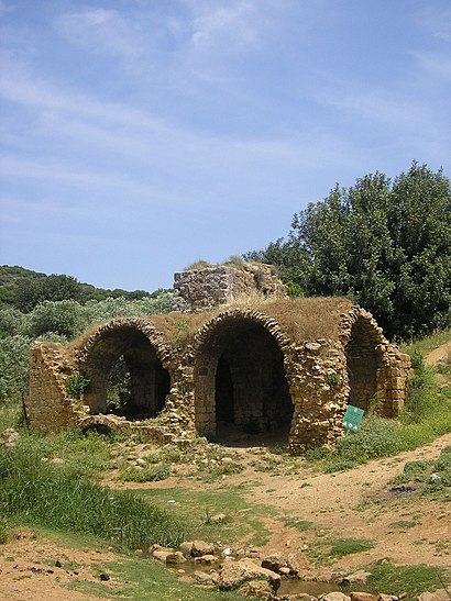 איך מגיעים באמצעות תחבורה ציבורית  לנחל צלמון? - מידע על המקום