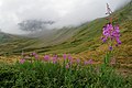Alpy, Aosta, Itálie, Švýcarsko, imgp5555 (2016-08).jpg