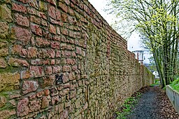 Alter Graben, Stadtmauer Gelnhausen 20230402 0078