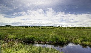 Naturschutzgebiet Wahner Heide (GL)