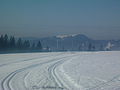 Am Stübenwasen mit Blick auf den Belchen