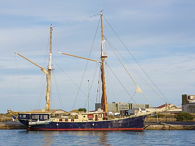 Amadeus (ship, 1910)