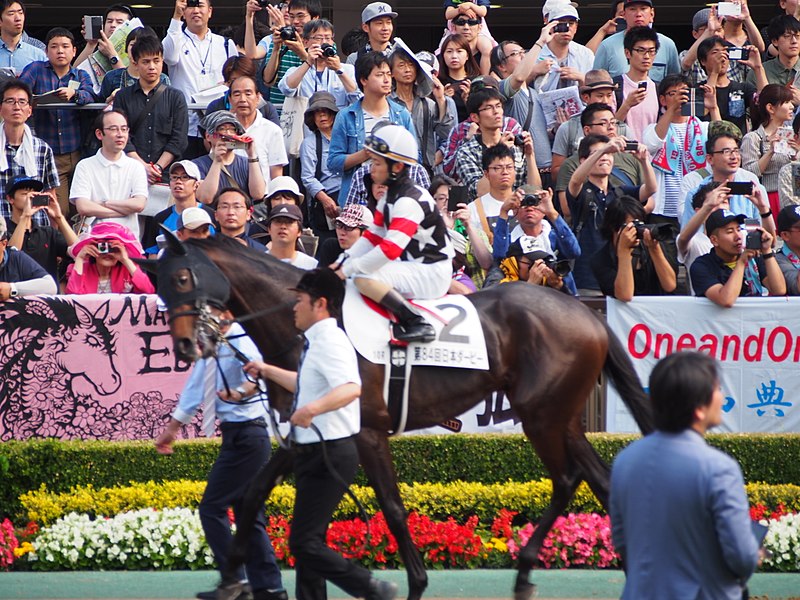 File:America's Cup, Matsuwaka - Japanese Derby 2017 (34565149060).jpg