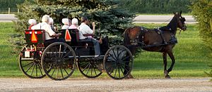 The Amish have a mutation that extends their life expectancy and reduces their susceptibility to diabetes. Amish people.jpg