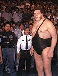 André the Giant için küçük resim