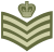Army-GBR-OR-07.svg