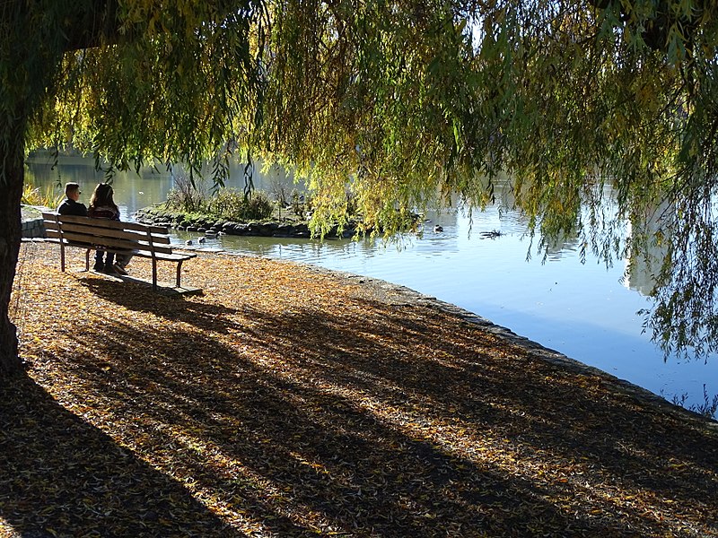 File:At Lost Lagoon - Stanley Park - Vancouver - BC - Canada - 04 (37264128114) (2).jpg