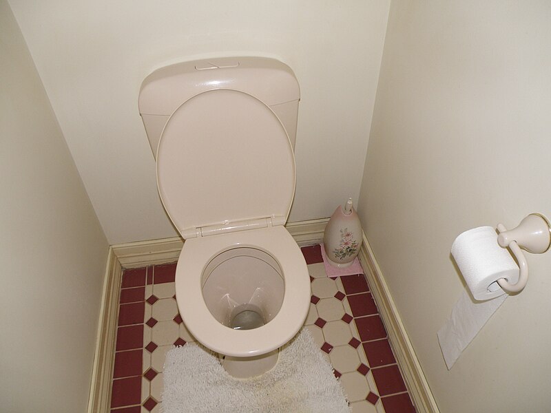 File:Australian Toilet.JPG