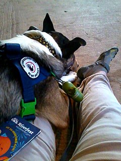 Autism assistance dog Type of service dog