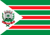 Bandeira do municipio de Rio das Antas (SC).png