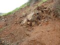Basalt structure almonds Amindloaidi slopes Sea of Galilee 05.jpg