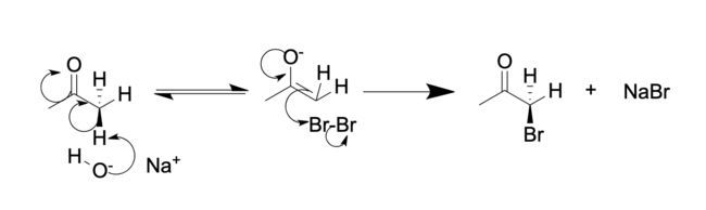 Reaction mechanism for the bromination of acetone while in the presence of aqueous NaOH