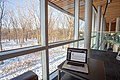 Vue sur le boisé derrière la bibliothèque.