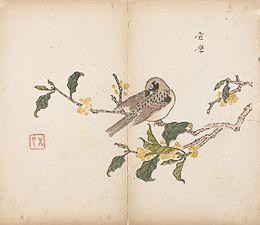 V centru hnědavý ptáček sedící na řídce olistěné větvi se žlutými kvítky táhnoucí se zprava