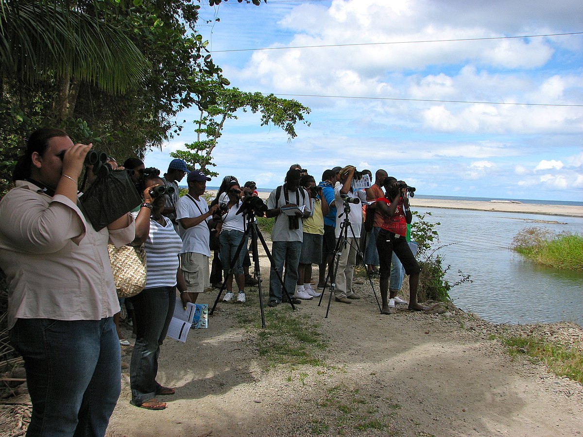 Layou river. Уругвай туризм. Tải xuống miễn phí Video shoot.